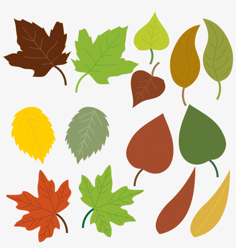 Big Image - Leaves Clipart, transparent png