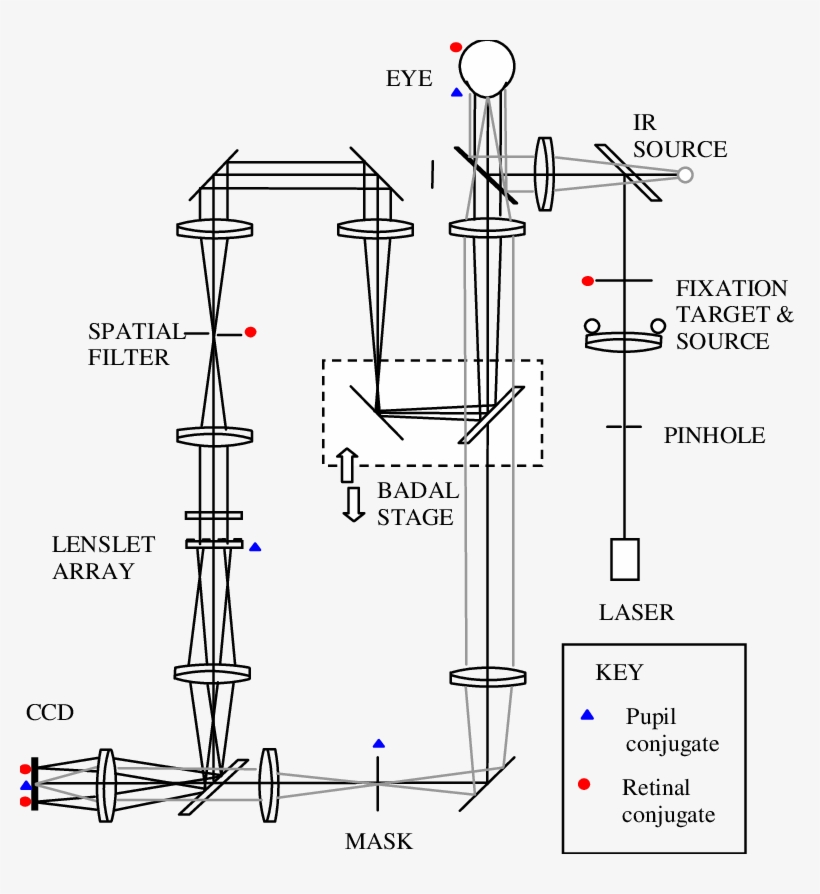 Optical Layout Of The Versatile Hs Wfs - Diagram, transparent png