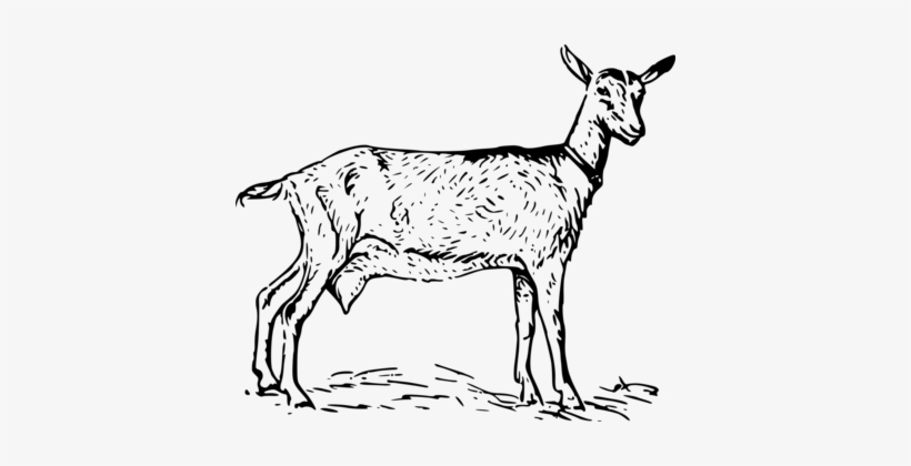 Goat Black And White Computer Icons Download - Nanny Goat Clipart Black And White, transparent png