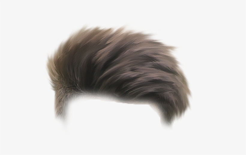 Hair Png - Picsart Photo Studio, transparent png
