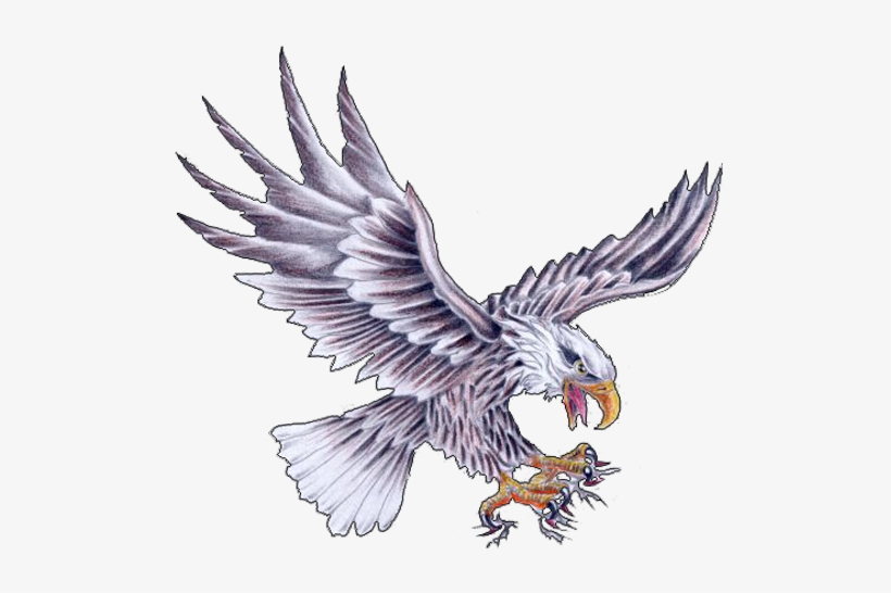 Eagle Tattoos Designs 71 - Eagle Tattoo Flash Art, transparent png