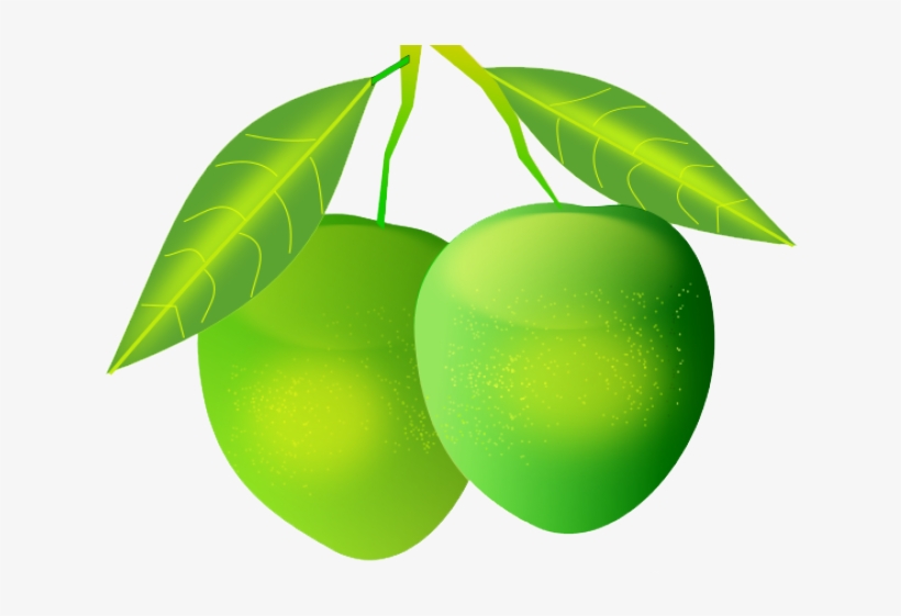 Mango Download Png - Mango Png, transparent png
