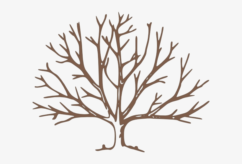 Bare Tree Clipart Bare Tree Clipart Png Hnnq96 Clipart - Draw A Winter Tree, transparent png