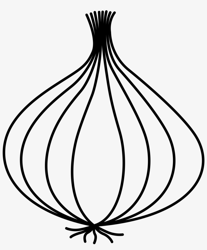 Clip Library Download Drawn Line Drawing Free On Dumielauxepices - Line Drawing Of Onion, transparent png
