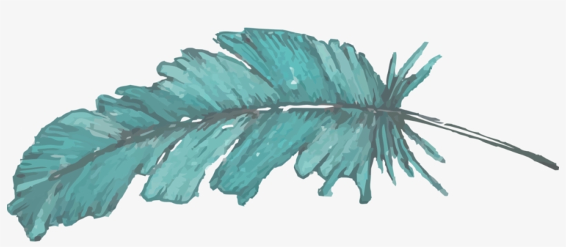 Feather - Portable Network Graphics, transparent png