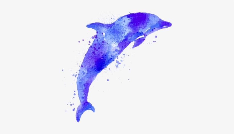 See The Formations - Common Bottlenose Dolphin, transparent png