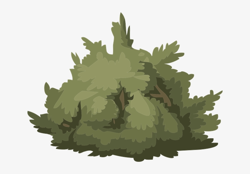 Bush Shrub Green Plant Nature Greenery Lus - Bush Png Vector, transparent png