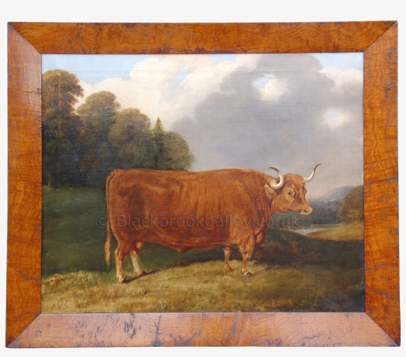 More Views - Picture Frame, transparent png