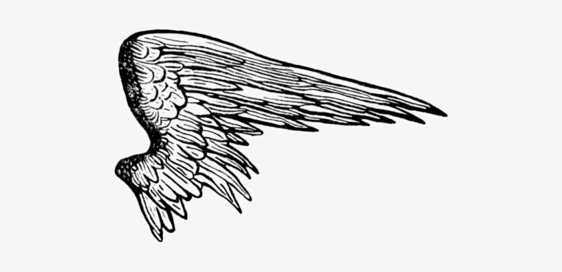Angel Wings Shower Curtain, transparent png