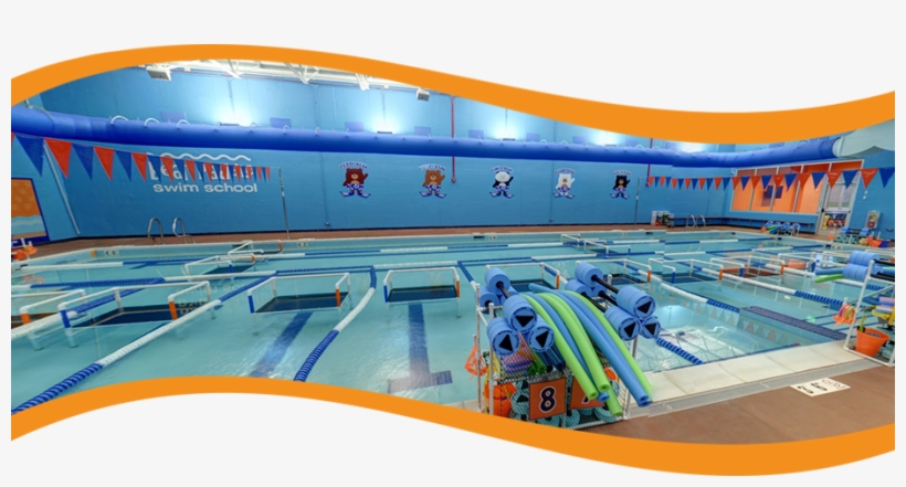 Bear Paddle Swim School Is A Month To Month Year Round - Leisure Centre, transparent png