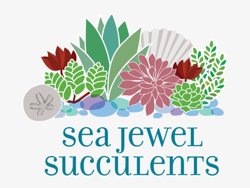 Sea Jewel Succulents & Flora - Acassuso, transparent png