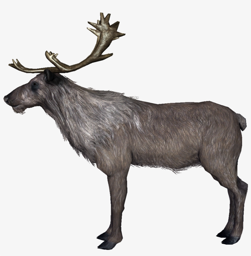 Skyrim Deer, transparent png