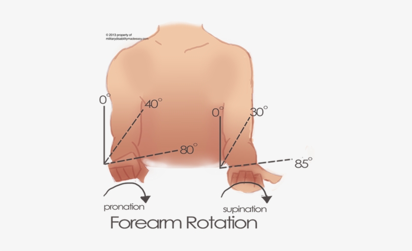 Forearm Supination 5 - Measuring Supination, transparent png