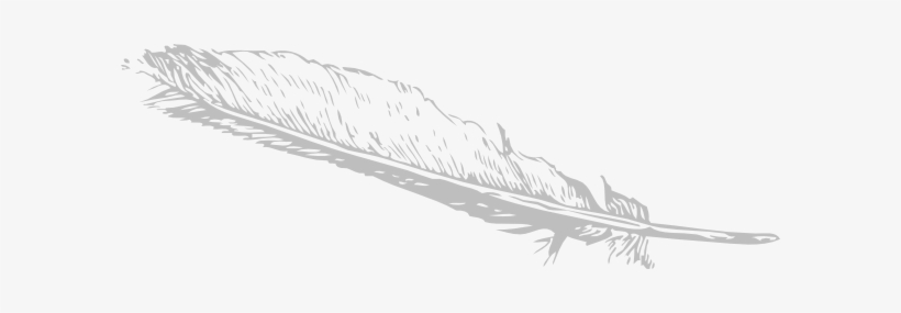 Download Png Image Report - Feather Clip Art, transparent png