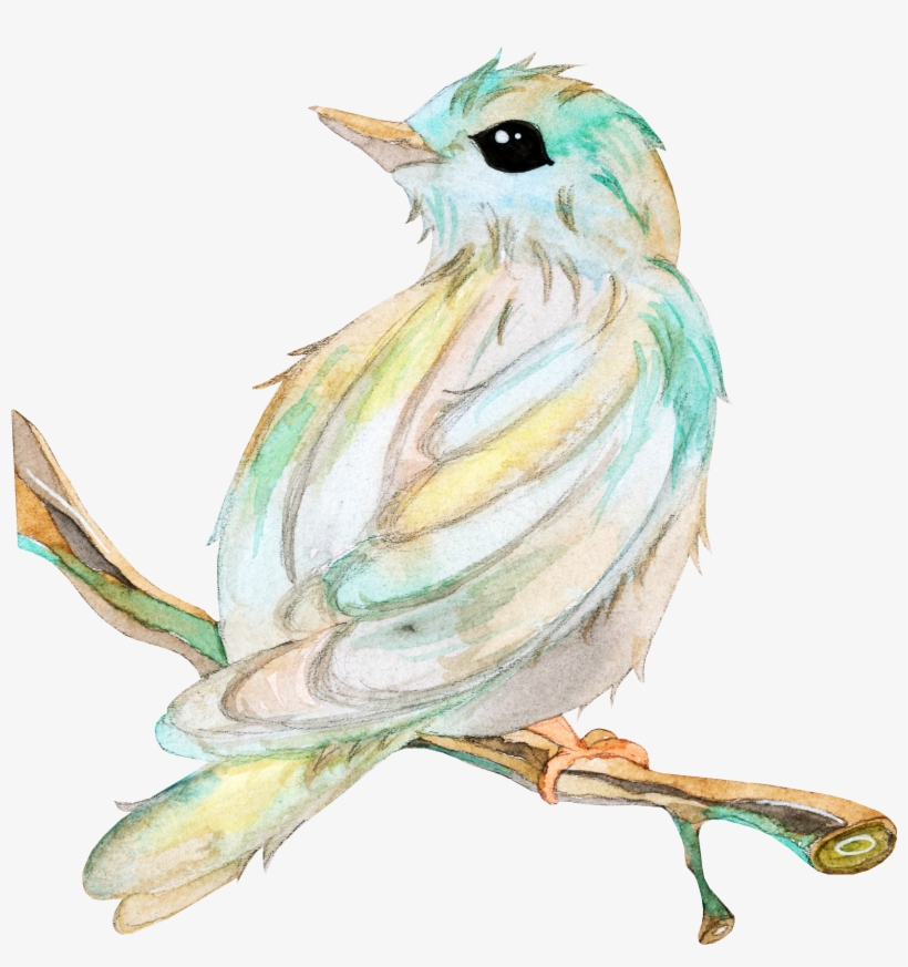 Bird Owl Beak Clip Art Branches Transprent - Bird, transparent png