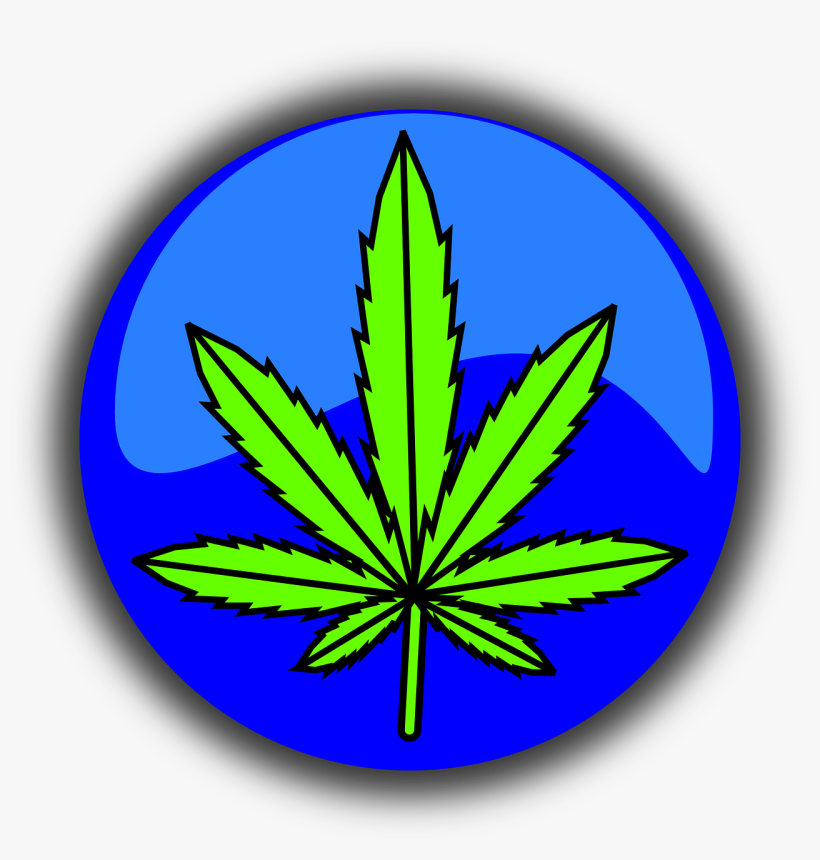 We Are Talking About The Medical Use Of Marijuana Here - Public Domain Transparent Hemp, transparent png
