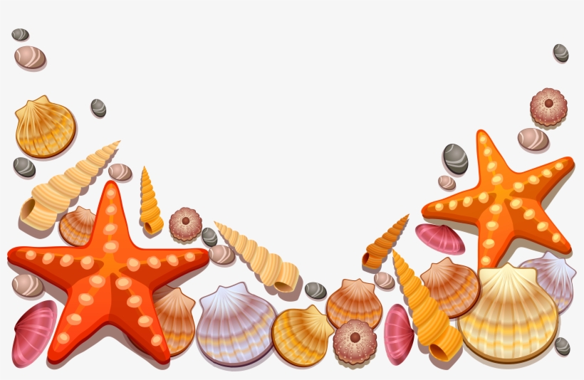 Image Royalty Free Library Colorful Seashell Clipart - Sea Shells Shower Curtain, transparent png