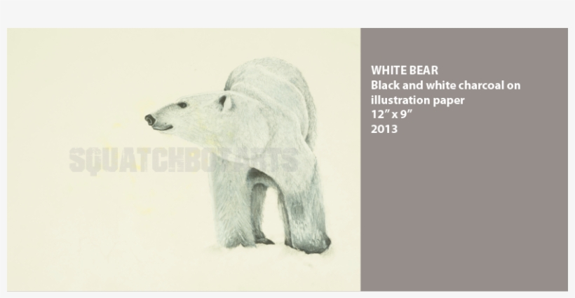 Whitebearwm - Polar Bear, transparent png