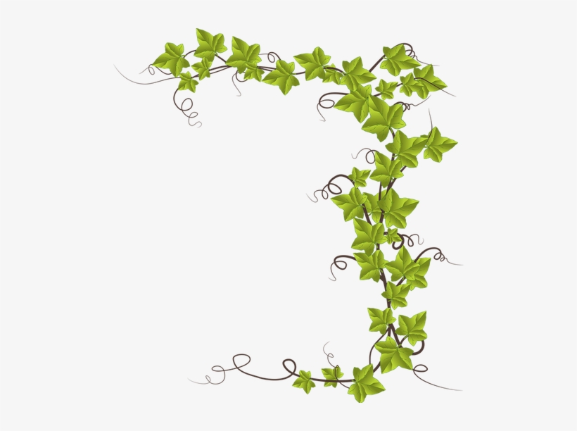 The Vines Run All The Way Down The Shaft Of A Wand - Monkeyshine Wine Accio Wine! And I Solemnly Swear...combo, transparent png