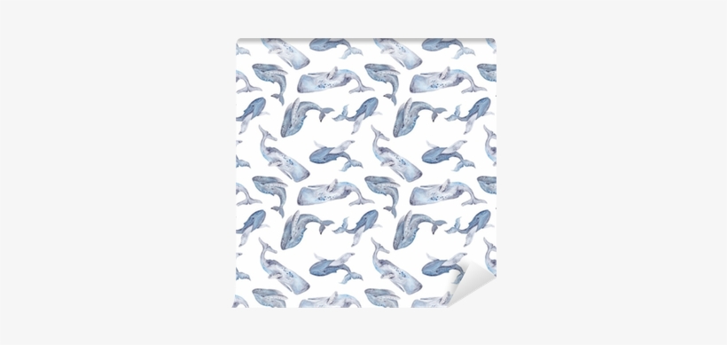 Seamless Texture With Watercolor Whales Wallpaper • - Art Print: Kisika's Watercolor Illustration With Whales, transparent png