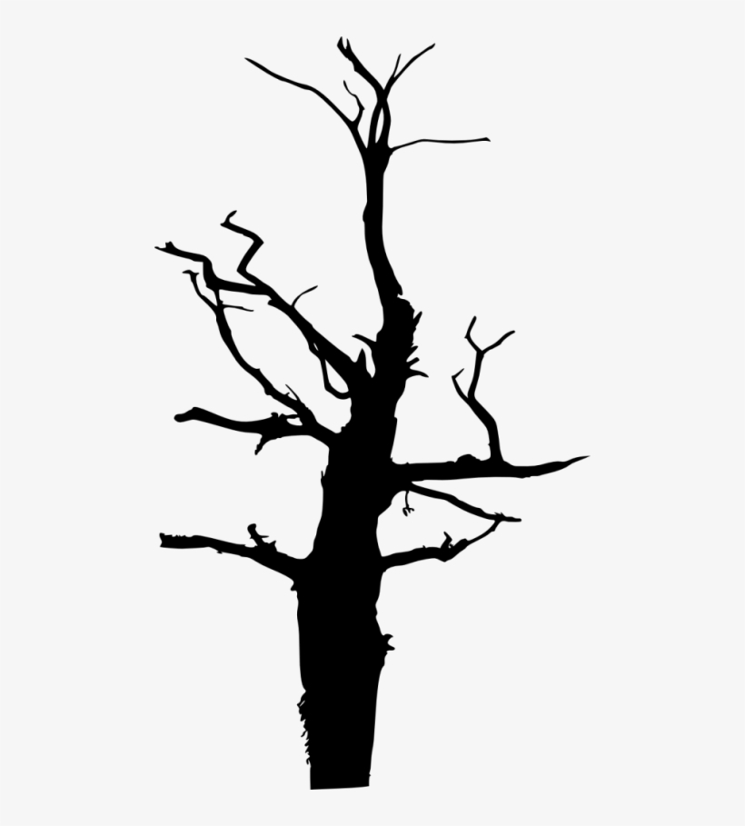 Free Png Dead Tree Silhouette Png Images Transparent - Portable Network Graphics, transparent png