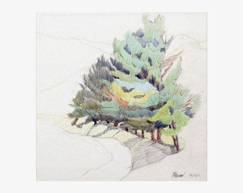 David Lusk Frieda Hamm - Jack Pine, transparent png