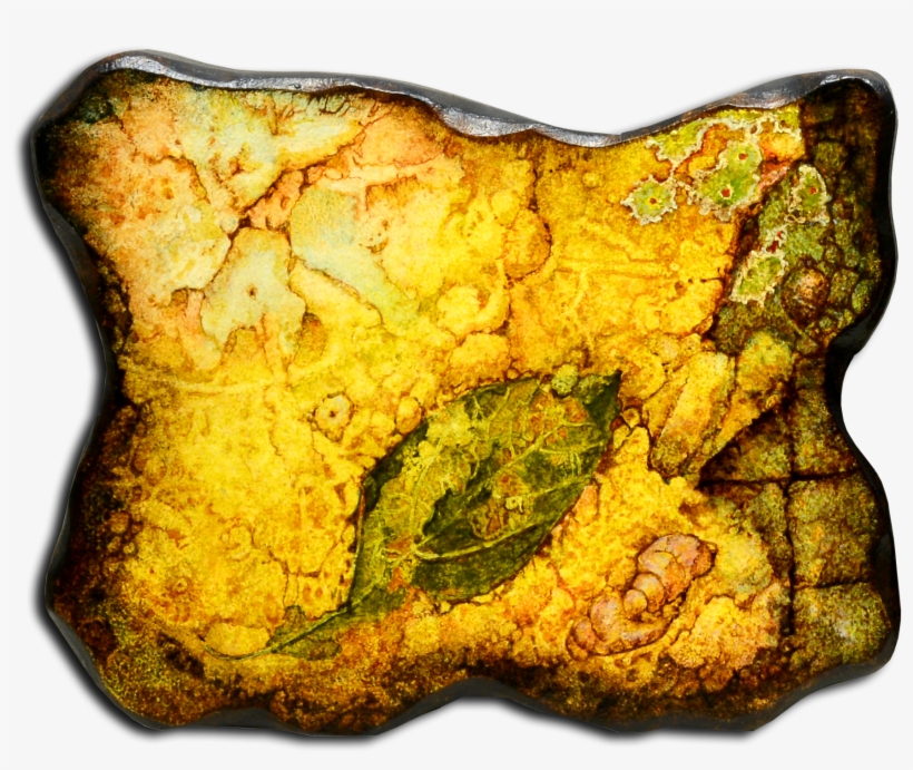Flora & Faunas Fate Ii - Exposures International Gallery, transparent png