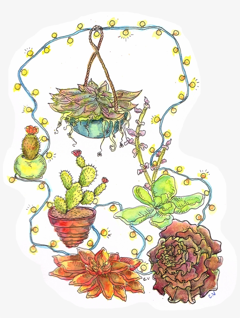 >ink And Watercolor >commission Pricing Here - Cactus, transparent png