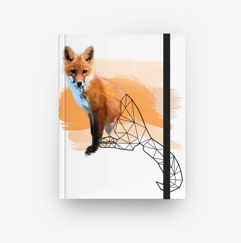 Caderno Watercolor Fox De Felipe Gomesna - Watercolor Painting, transparent png
