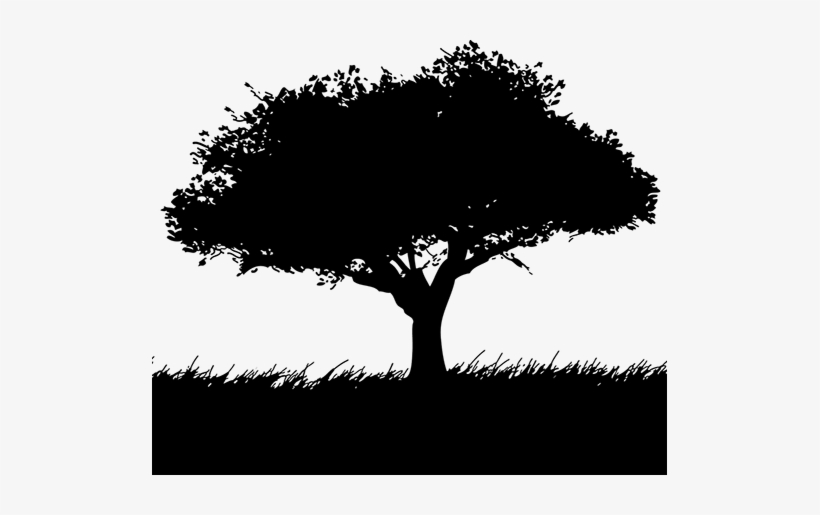 Property Maintained By - 2d Landscape, transparent png