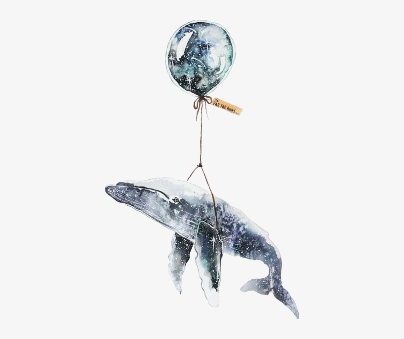 Report Abuse - Whale Balloon Drawing, transparent png