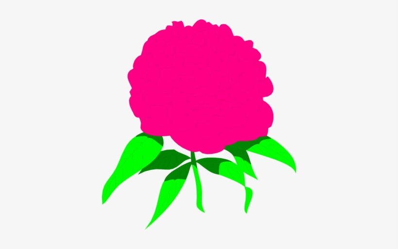 Peony - Clip Art, transparent png