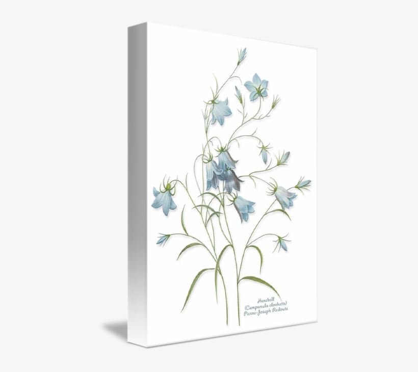 Ftestickers Flowers Watercolor Blue - Cafepress Harebells Tile Coaster, transparent png