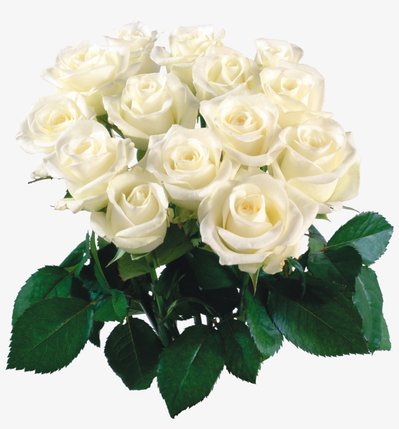 Bouquet Flowers Of Sticker - Beautiful Flowers Roses White, transparent png
