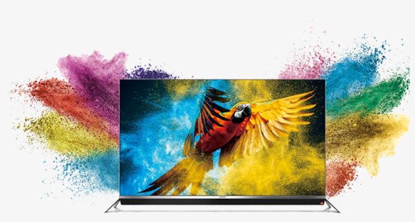 Photography - Beautiful Parrot Pillow Case, transparent png