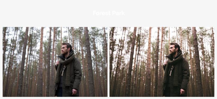 On1 Cinematic Color Grading Luts - Grove, transparent png