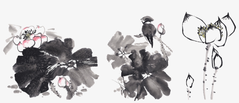 Nelumbo Nucifera Ink Wash Painting Drawing Ink Brush - Best Tools Direct Ss-wallpaper Office Sofas Wall Clean, transparent png