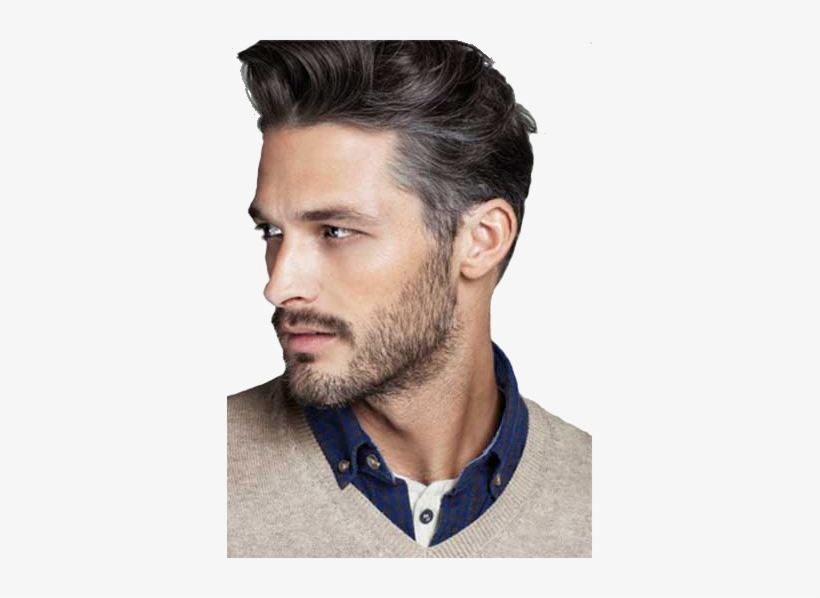 Extended French Lace Is A Ultra Thin Lace Which Makes - Best Profile Picture For Man, transparent png