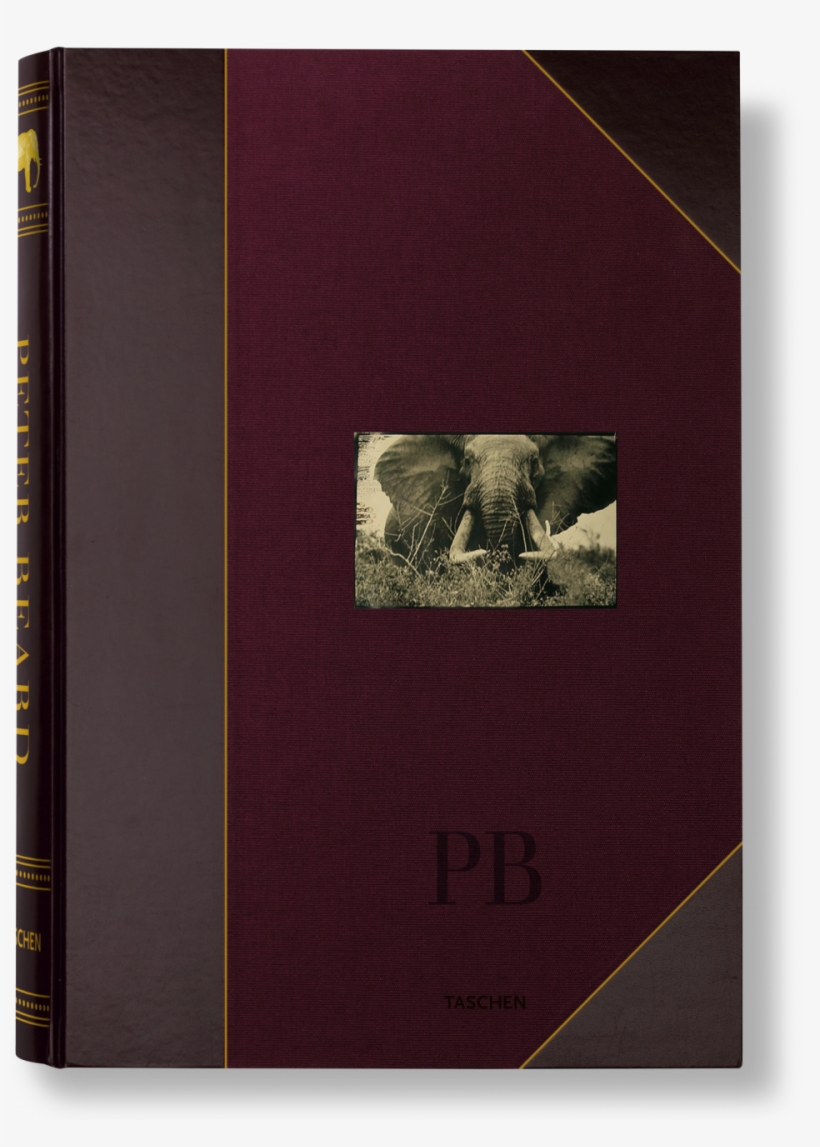 Peter Beard, transparent png