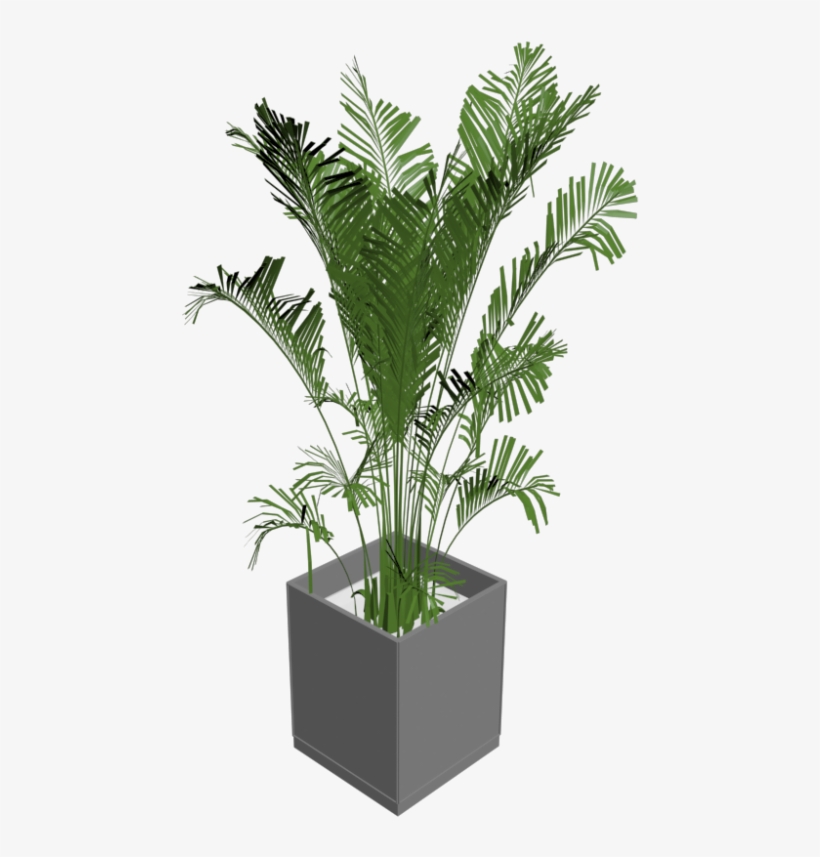 Green Indoor Plants Png - 3d House Plant Png, transparent png