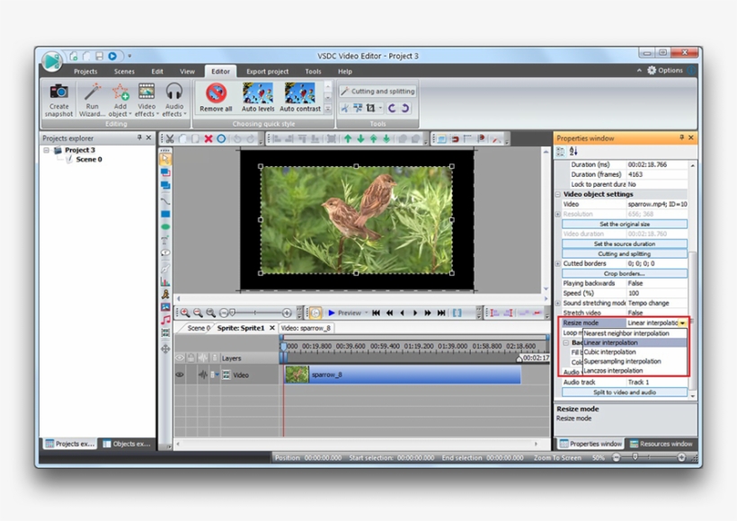 Advanced Resizing Mode - Vsdc Spline Parameters, transparent png