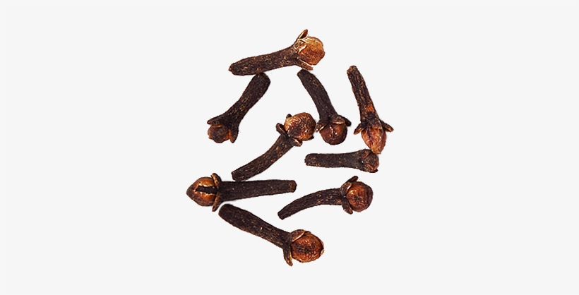 Cloves - Wood, transparent png