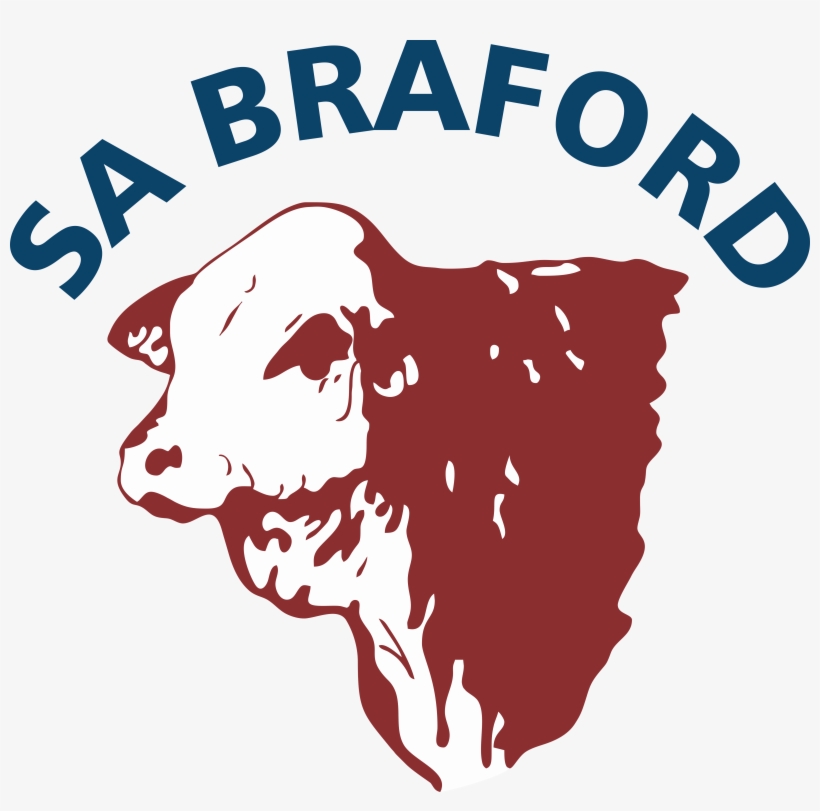 Official Black & White Logo In Png Format - Sa Braford, transparent png