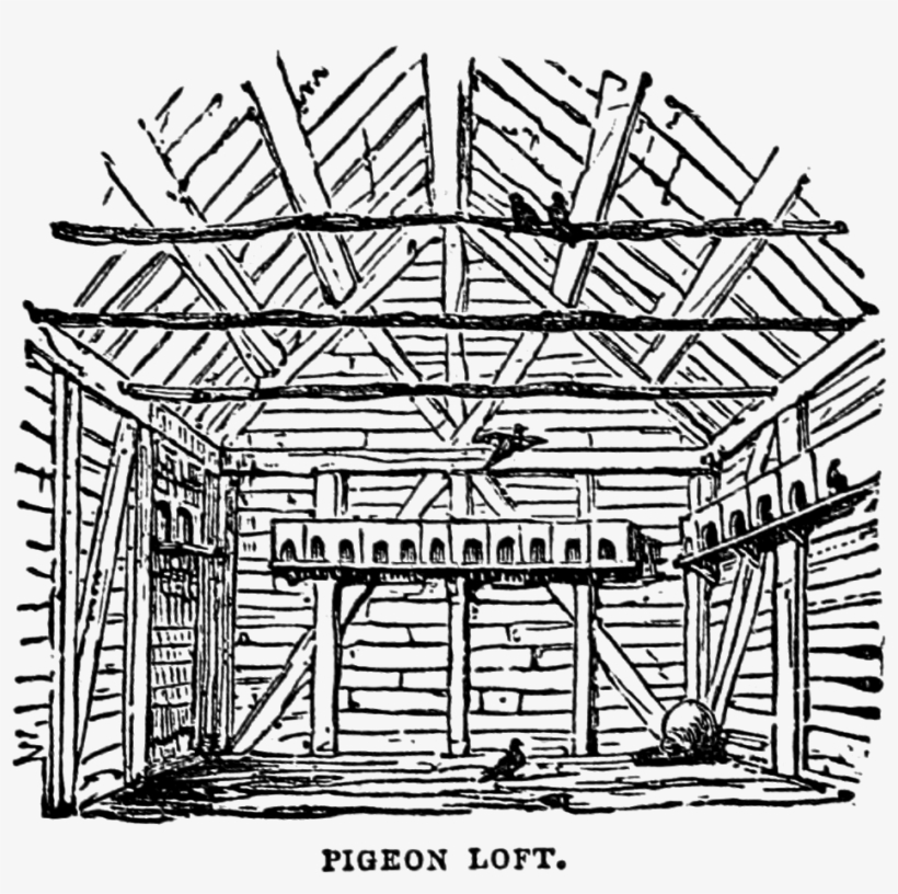 Jpeg Download - Loft Clipart, transparent png