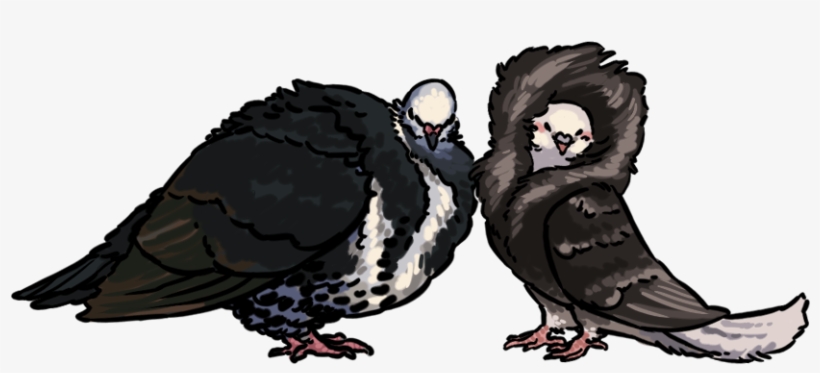 “yes - ” - Pigeons And Doves, transparent png