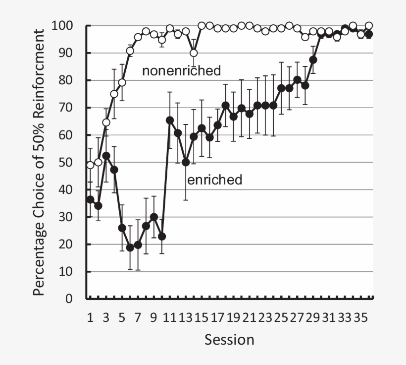 Suboptimal Choice By Pigeons With 4 Hr Of Enriched - Pigeons And Doves, transparent png