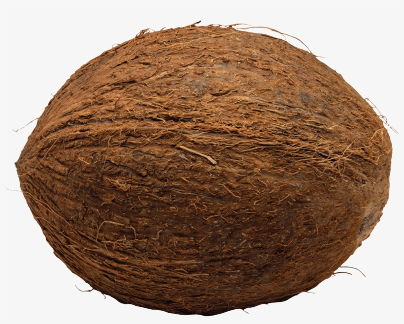 Date - Coconut On Transparent Background, transparent png