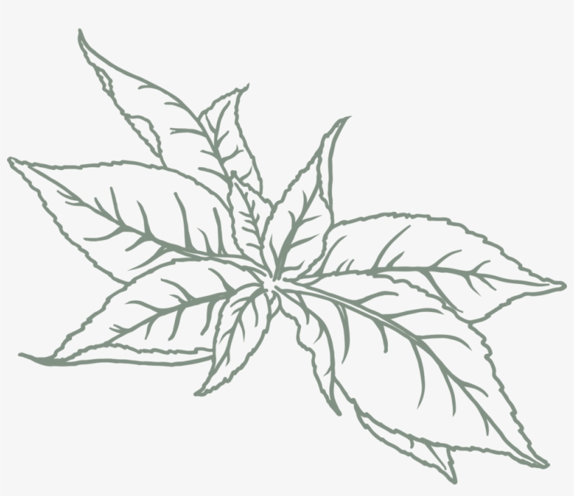 Green Tea L - Portland, transparent png