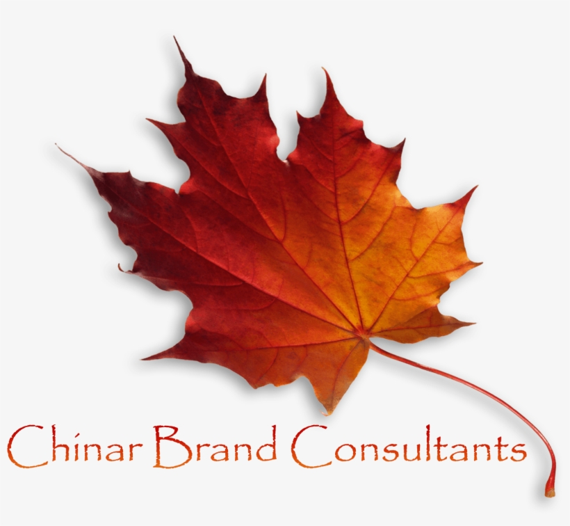 Logo-min - Maple Leaf, transparent png