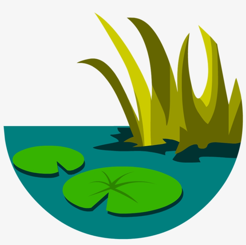 Everglades - Clipart Of Everglades, transparent png